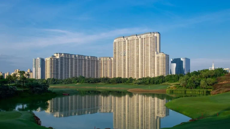 DLF The Camellias View