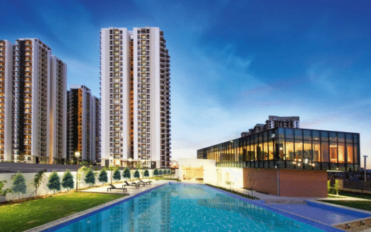 Conscient Heritage One